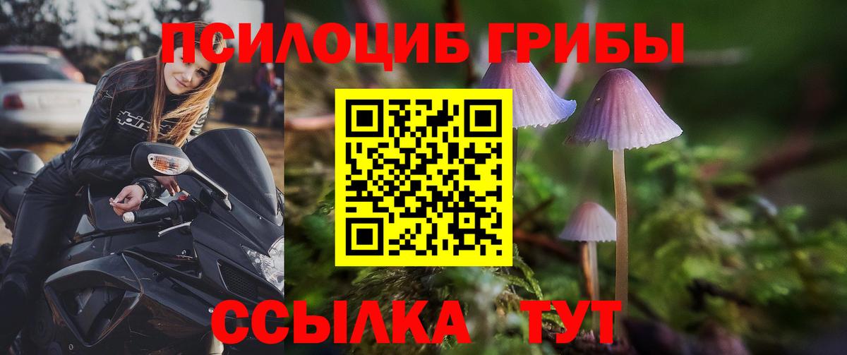 Псилоцибиновые грибы Psilocybe  Вход с VPN  Кумертау 